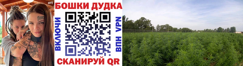 Конопля конопля  ссылка на мегу   Сухой Лог  где найти наркотики 